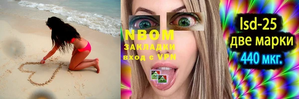 бошки Няндома