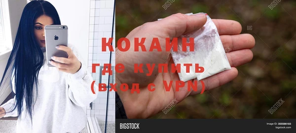 бошки Няндома