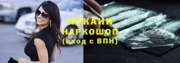 бошки Няндома