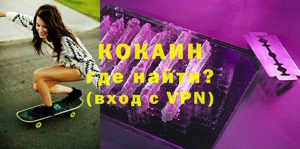бошки Няндома