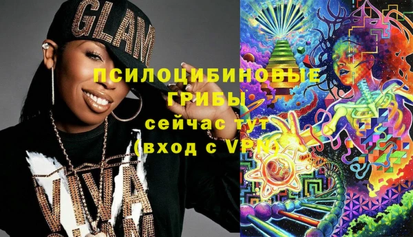 сатива Нязепетровск