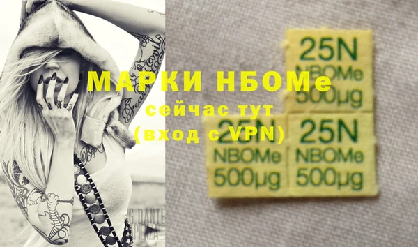 бошки Няндома