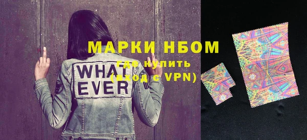 бошки Няндома