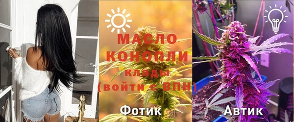 бошки Няндома