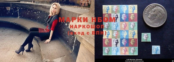 сатива Нязепетровск