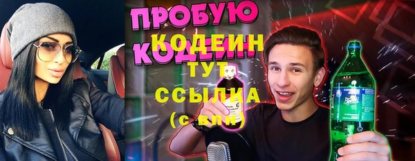бошки Няндома
