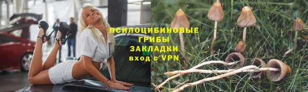 сатива Нязепетровск