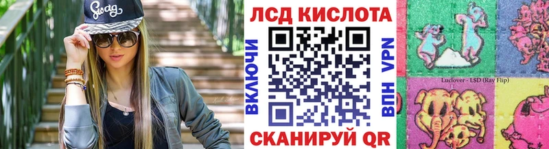 Купить где  Каменка  Марки N-bome 1,5мг 