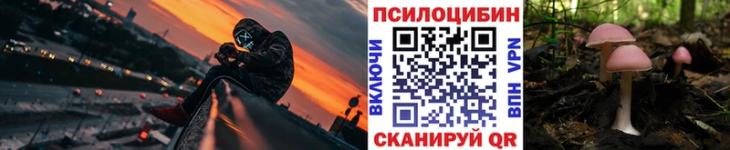 Купить  Каменка  Псилоцибиновые грибы GOLDEN TEACHER 